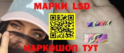 мяу мяу мука Ачхой-Мартан