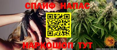 мяу мяу мука Ачхой-Мартан