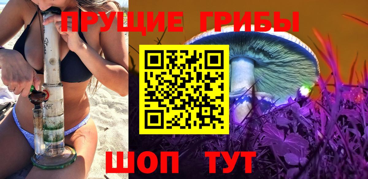 Псилоцибиновые грибы Cubensis  Вход с VPN  Дивногорск 